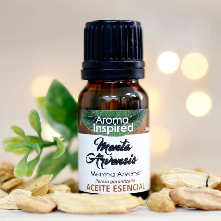 Aceite esencial de menta arvensis